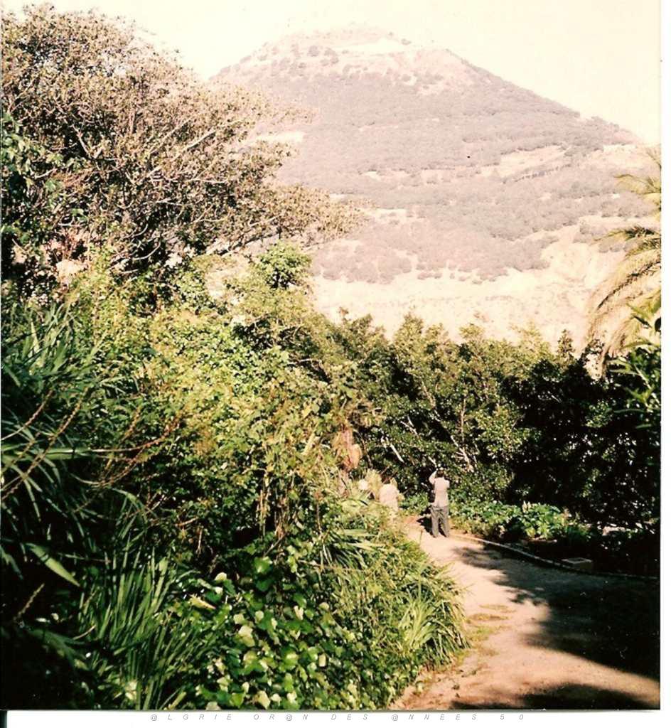 ORAN PROMENADE DE L ETANG 2.JPG